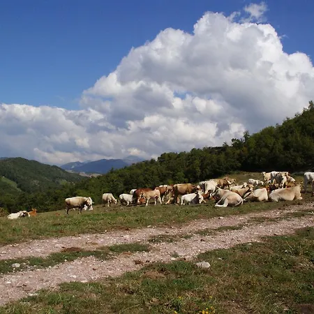 Agriturismo Il Palazzo Cinque Costacciaro