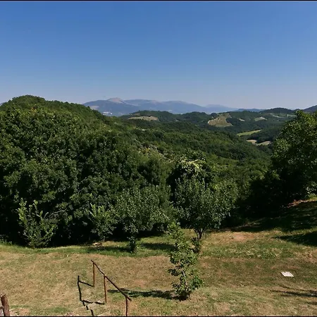 Agriturismo Il Palazzo Cinque Holiday home